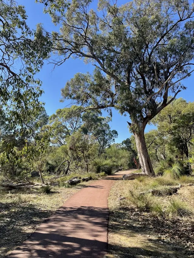 Scenic view of [object Object] - NDIS Provider