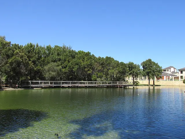 Scenic view of [object Object] - NDIS Provider