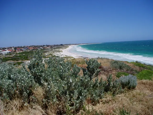 Scenic view of [object Object] - NDIS Provider