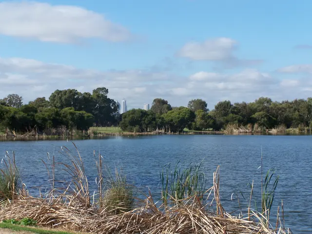 Scenic view of [object Object] - NDIS Provider