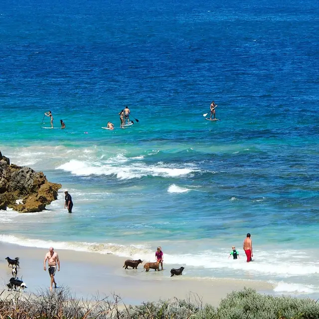 Scenic view of [object Object] - NDIS Provider