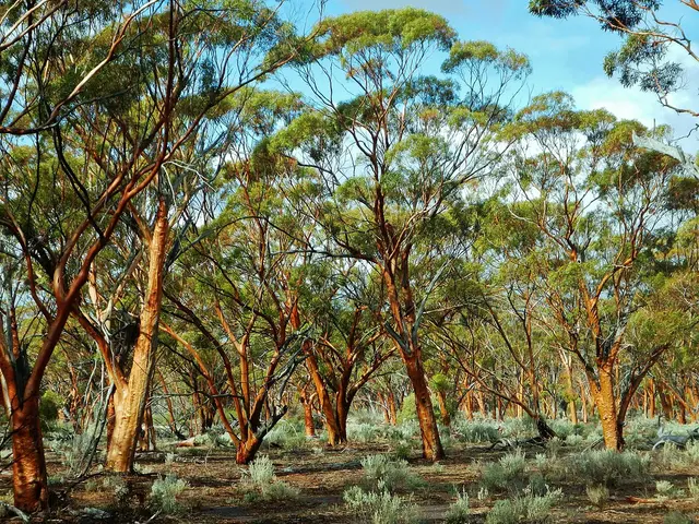 Scenic view of [object Object] - NDIS Provider