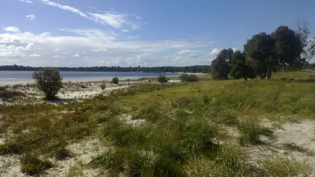 Scenic view of [object Object] - NDIS Provider